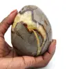 Mineraal ei in septaria - 0