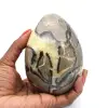 Mineraal ei in septaria - 0