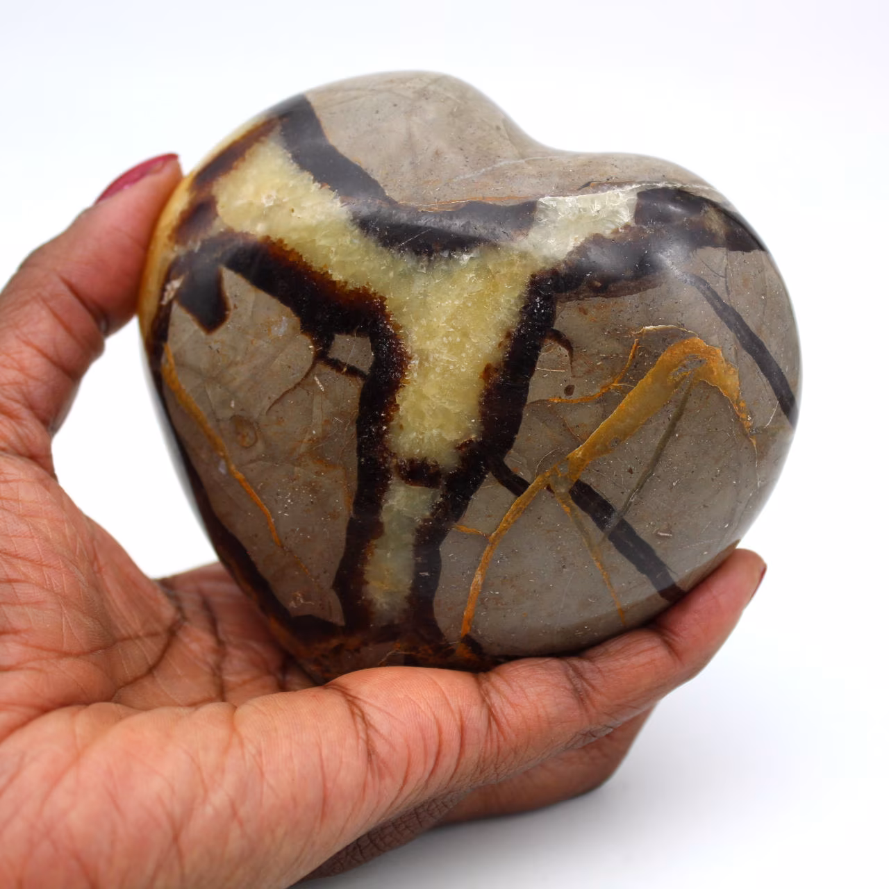 Hart in septaria