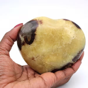 Hart in septaria