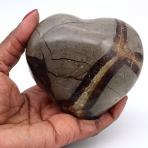 Hart in septaria