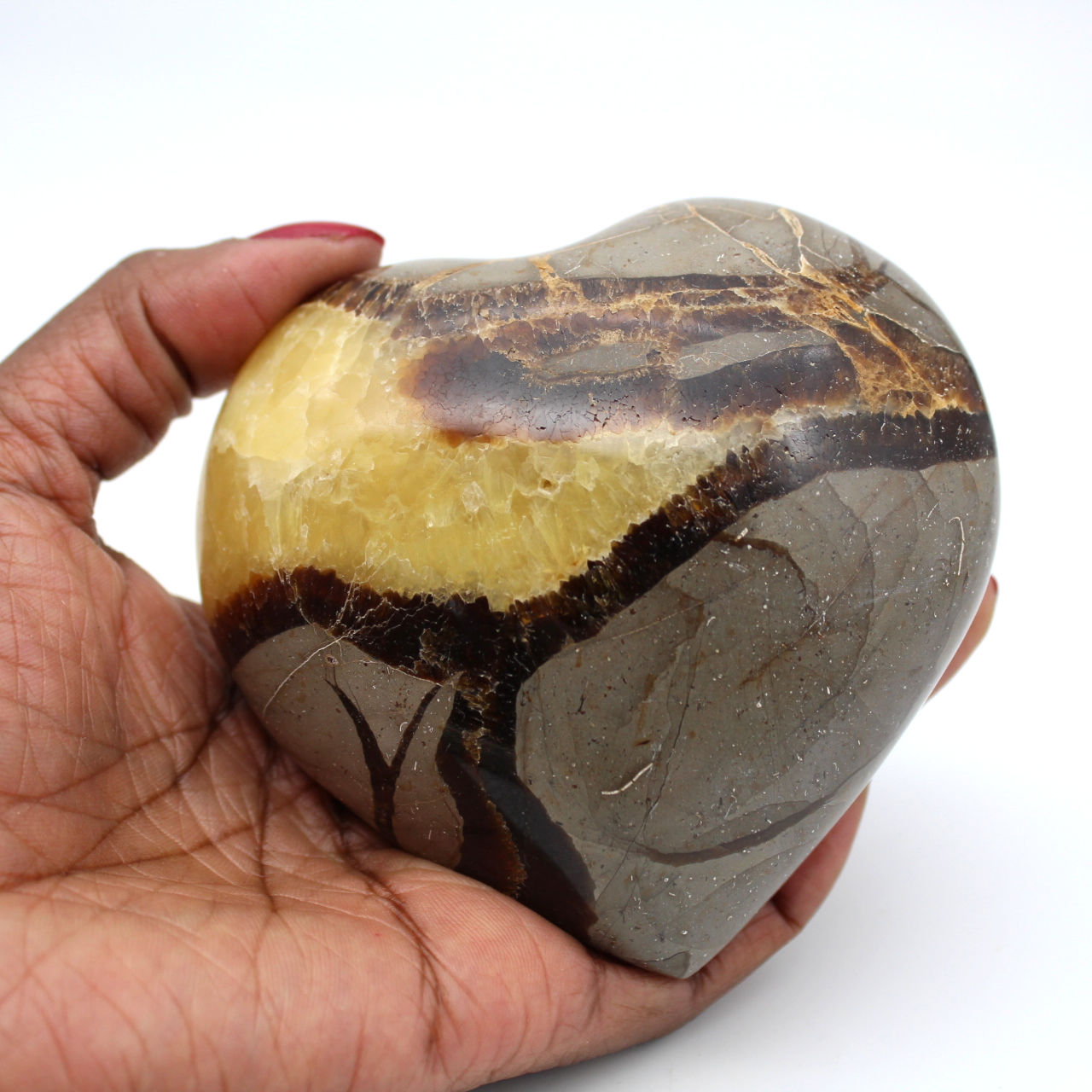 Hart in septaria