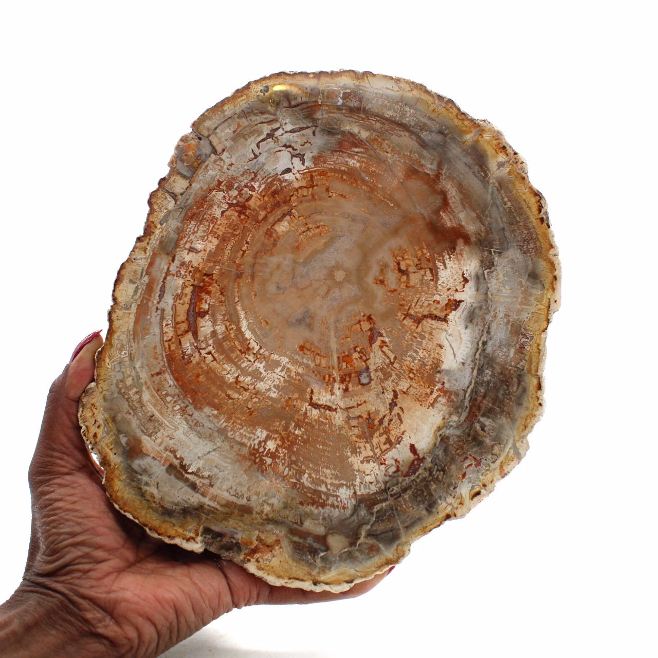Natuurlijk verkiezeld hout