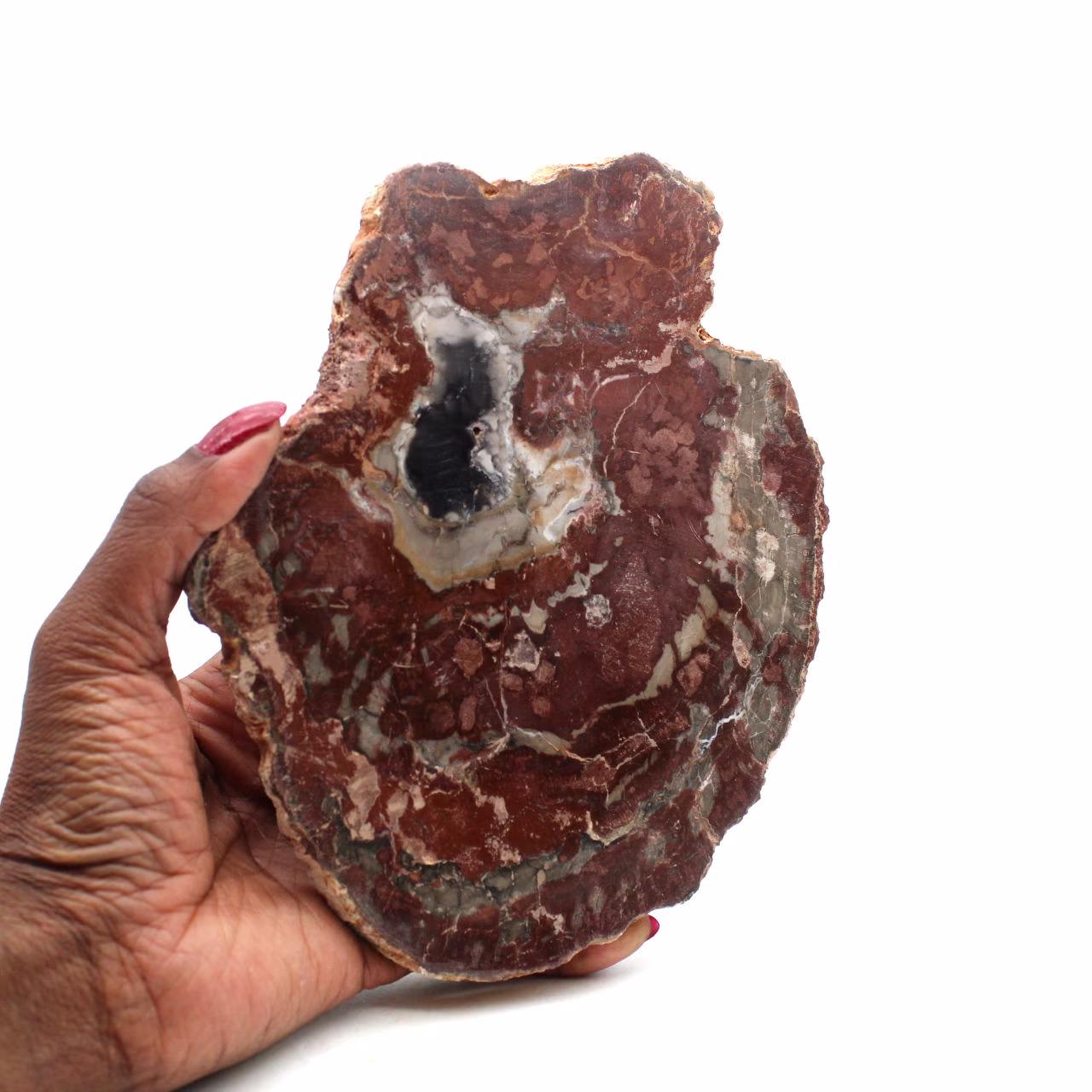 Natuurlijk gepolijst versteend hout