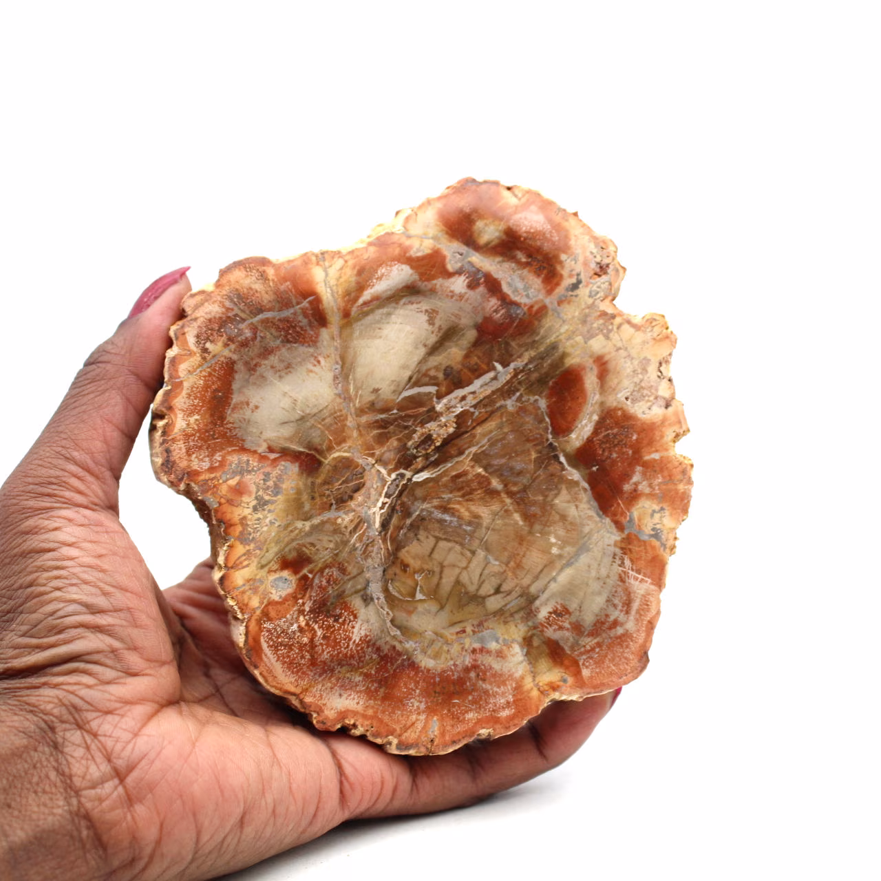 Natuurlijk gefossiliseerd hout