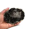 Stuk versteend hout uit madagaskar - 0