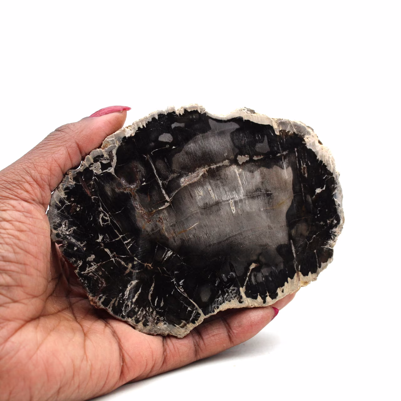 Stuk versteend hout uit madagaskar