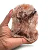 Plak van natuurlijk versteend hout - 0