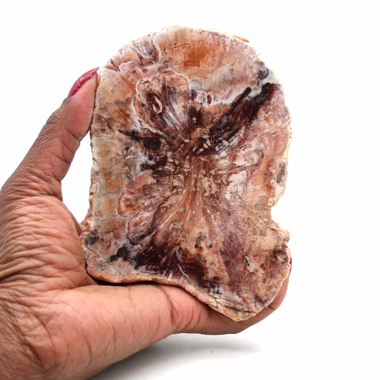 Plak van natuurlijk versteend hout