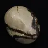 Kiezels van septaria - 0