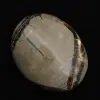 Kiezels van septaria - 2