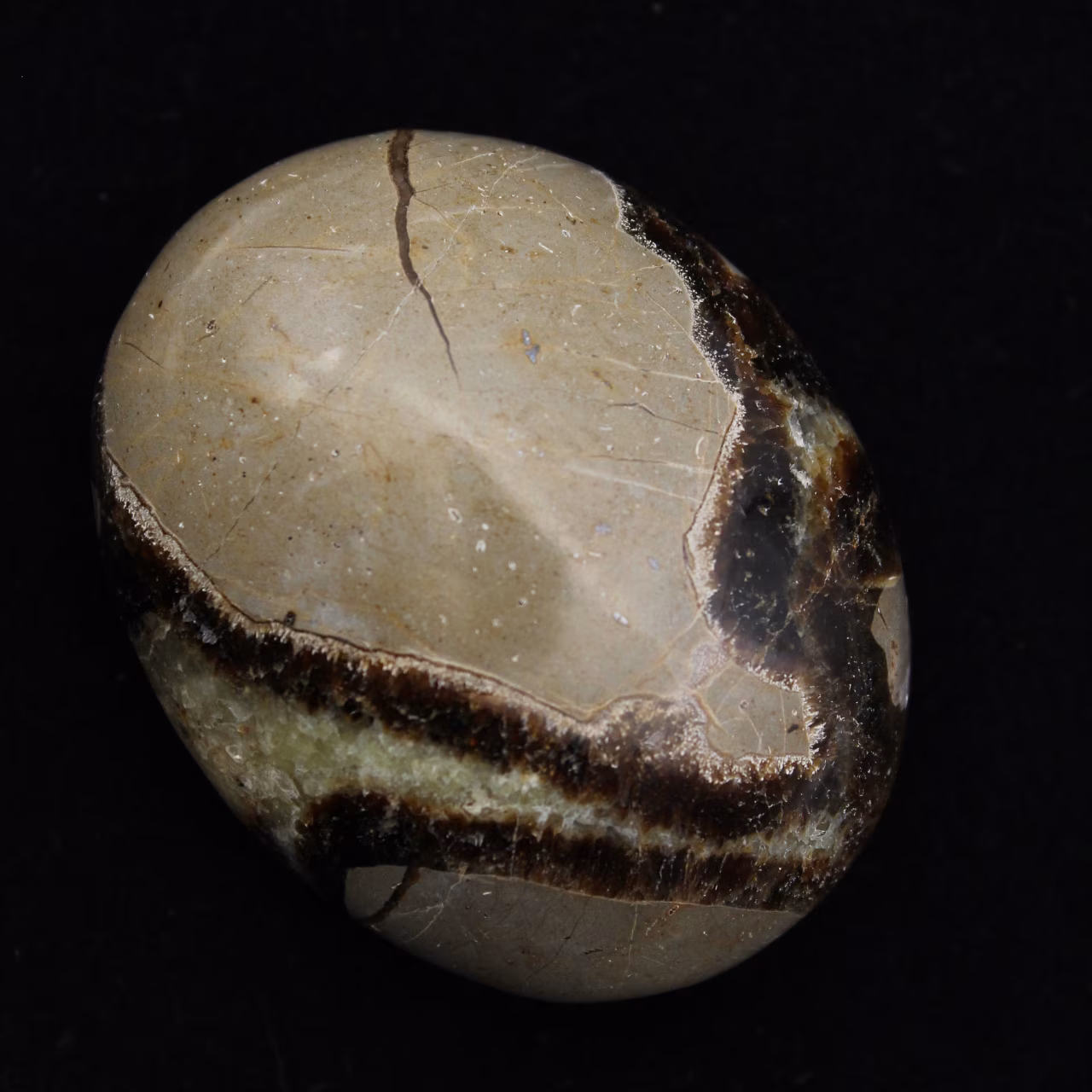 Kiezels van septaria
