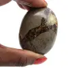 Kiezels van septaria - 1