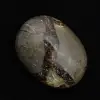 Kiezels van septaria - 2