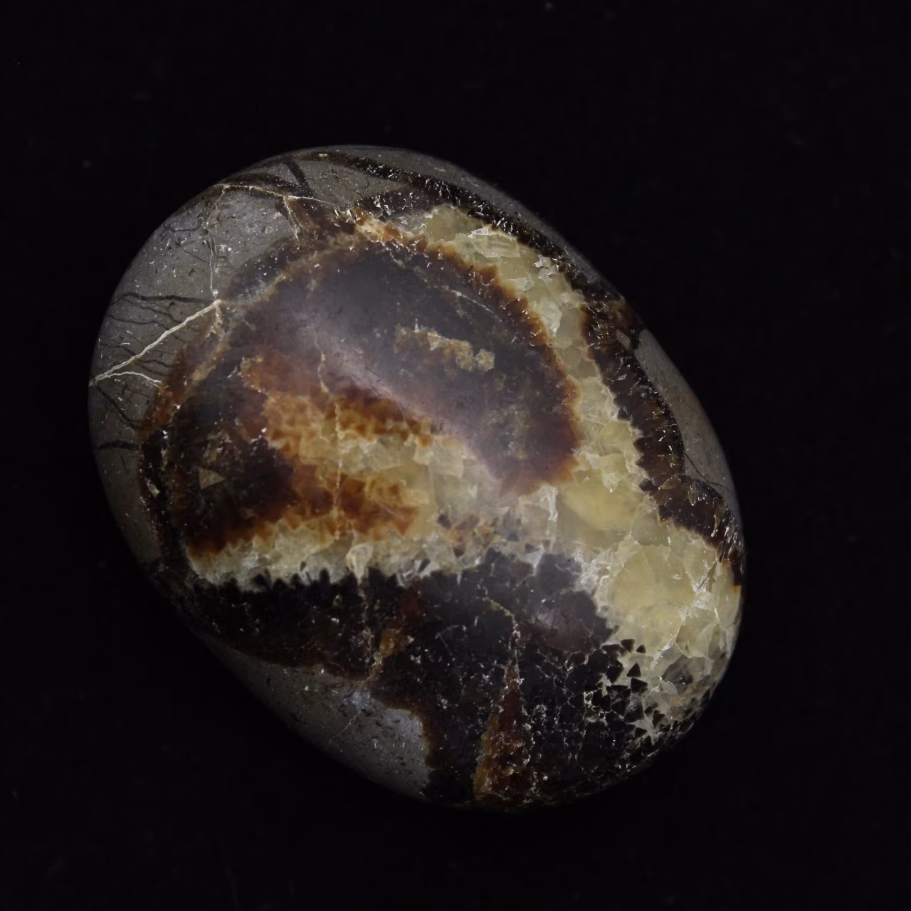 Kiezels van septaria