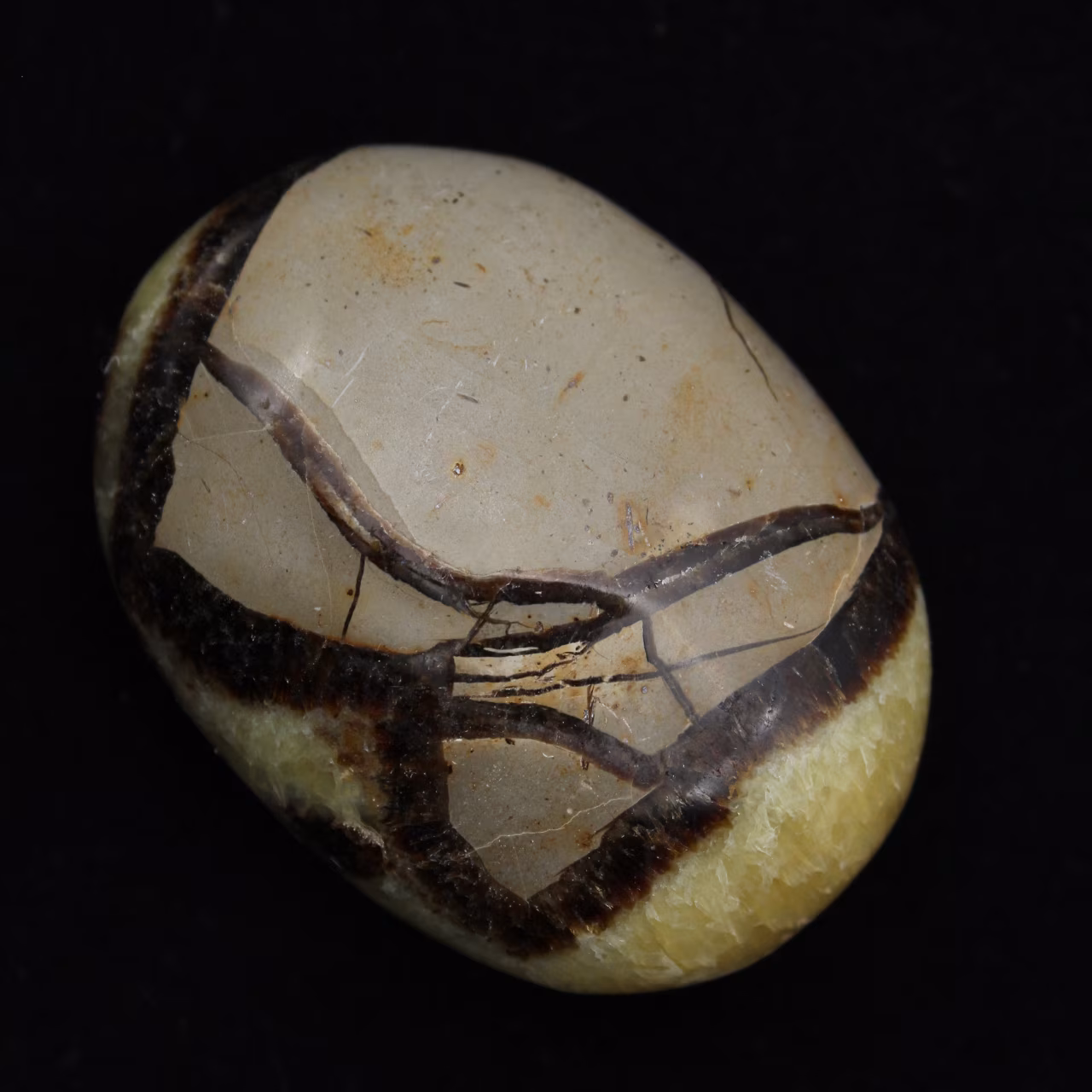Kiezels van septaria