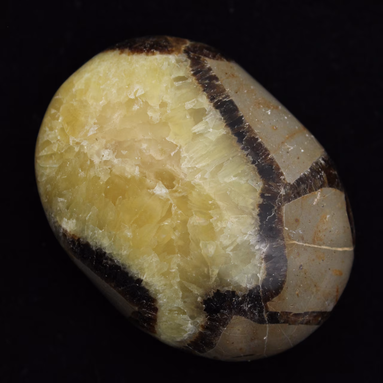 Kiezels van septaria