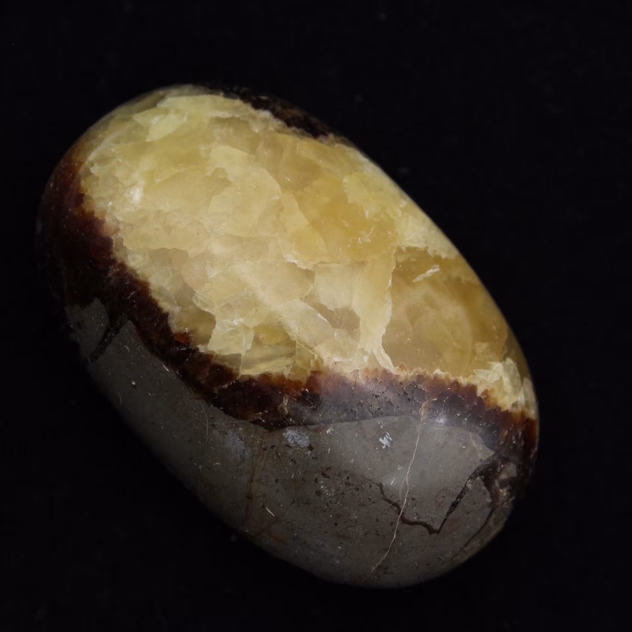 Kiezels van septaria