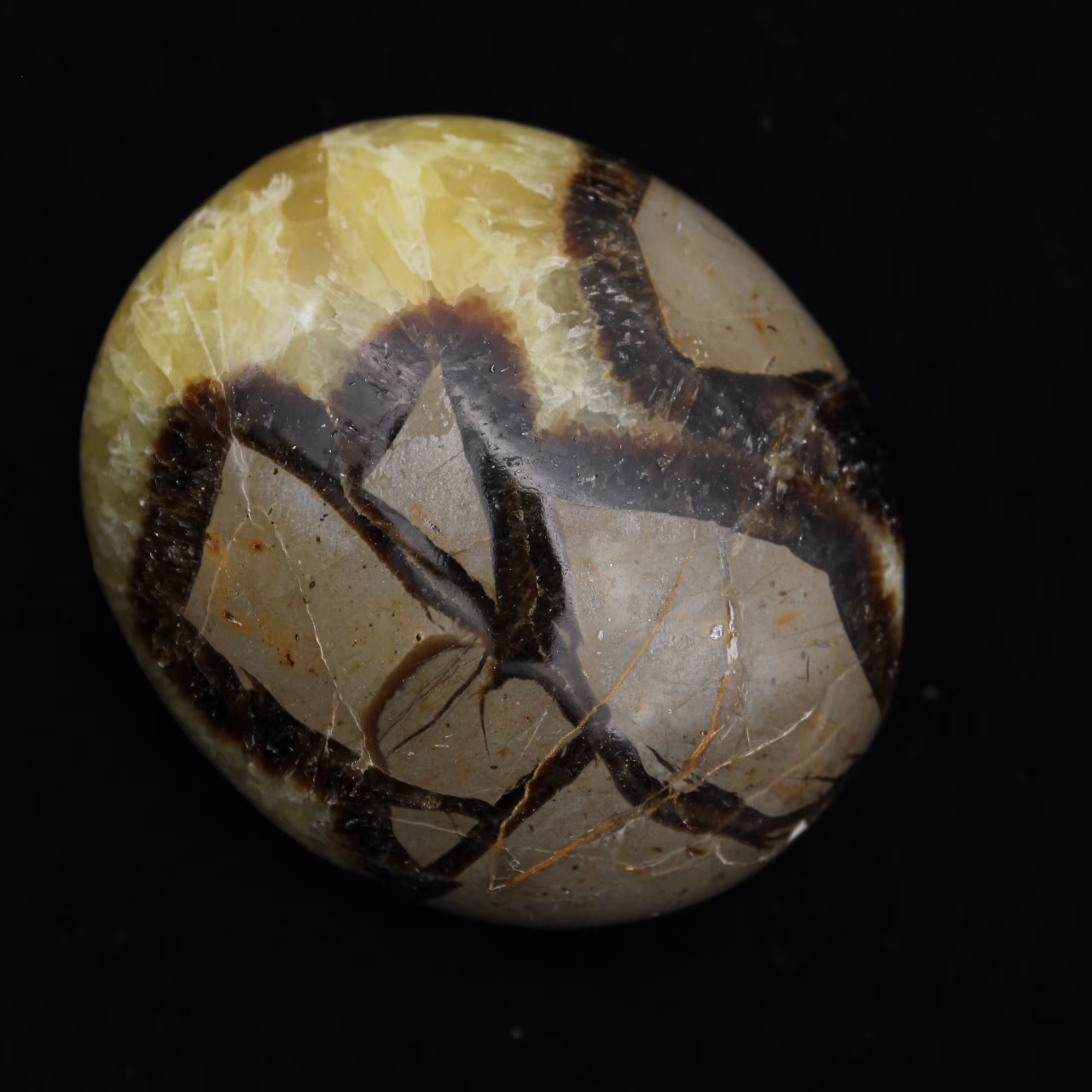 Kiezels van septaria