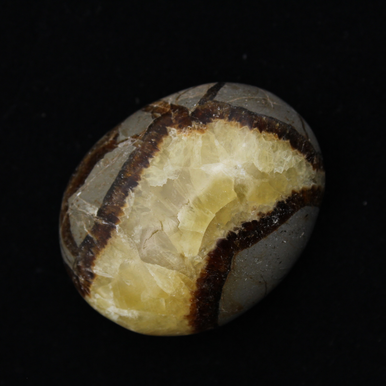 Kiezels van septaria