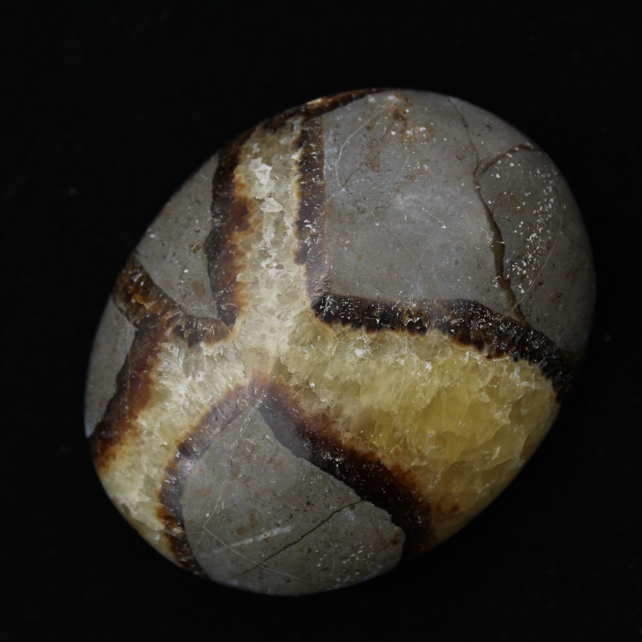 Kiezels van septaria