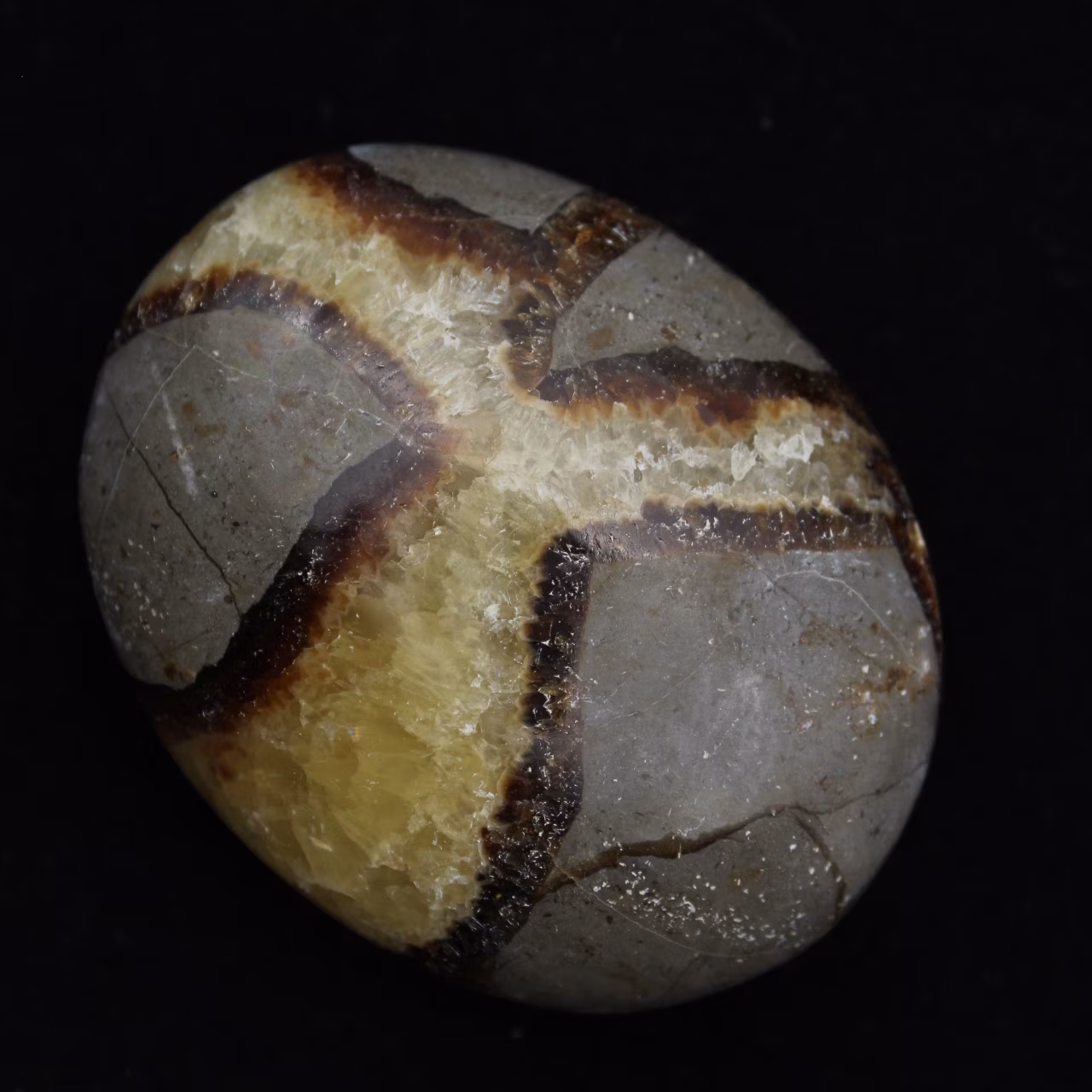 Kiezels van septaria