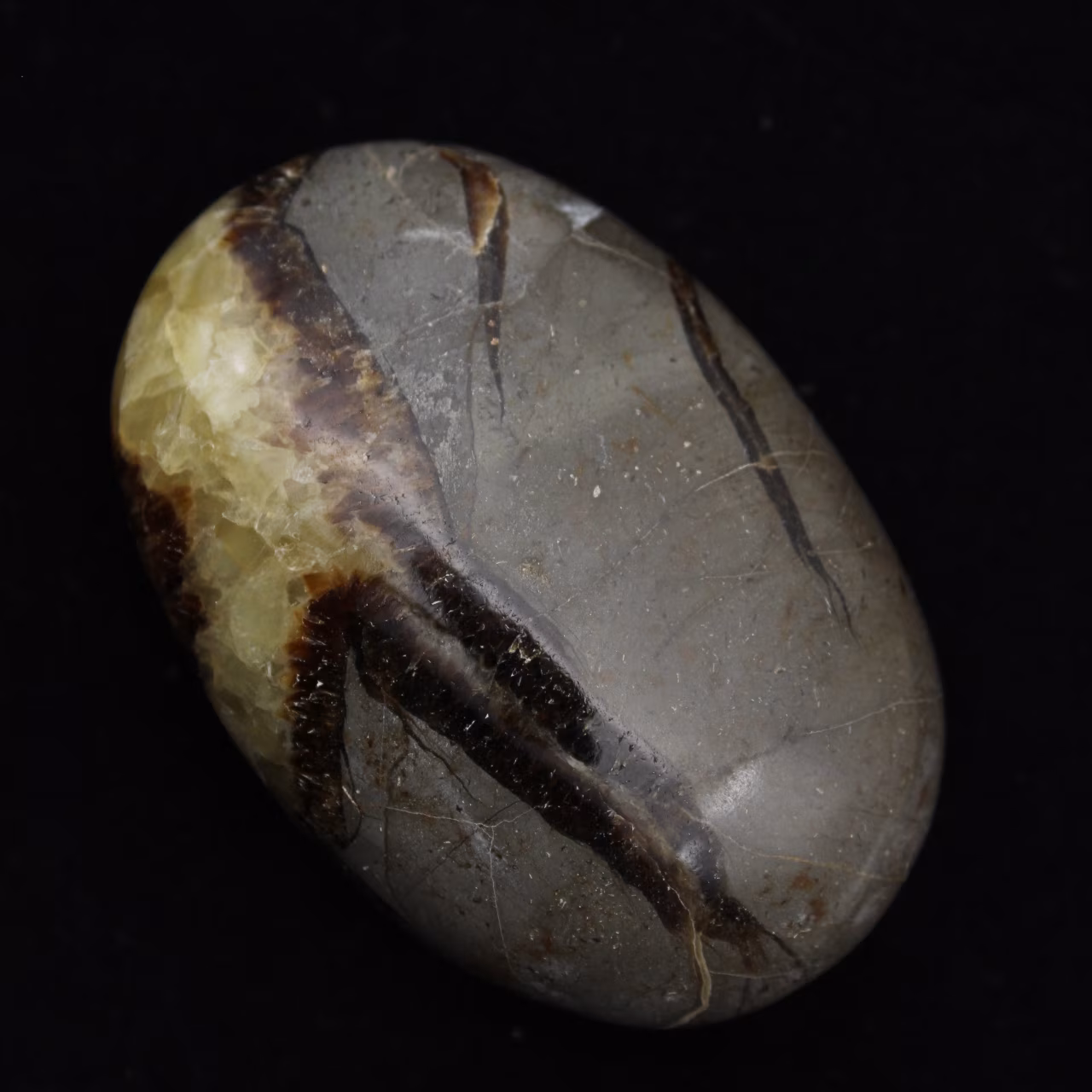 Kiezels van septaria