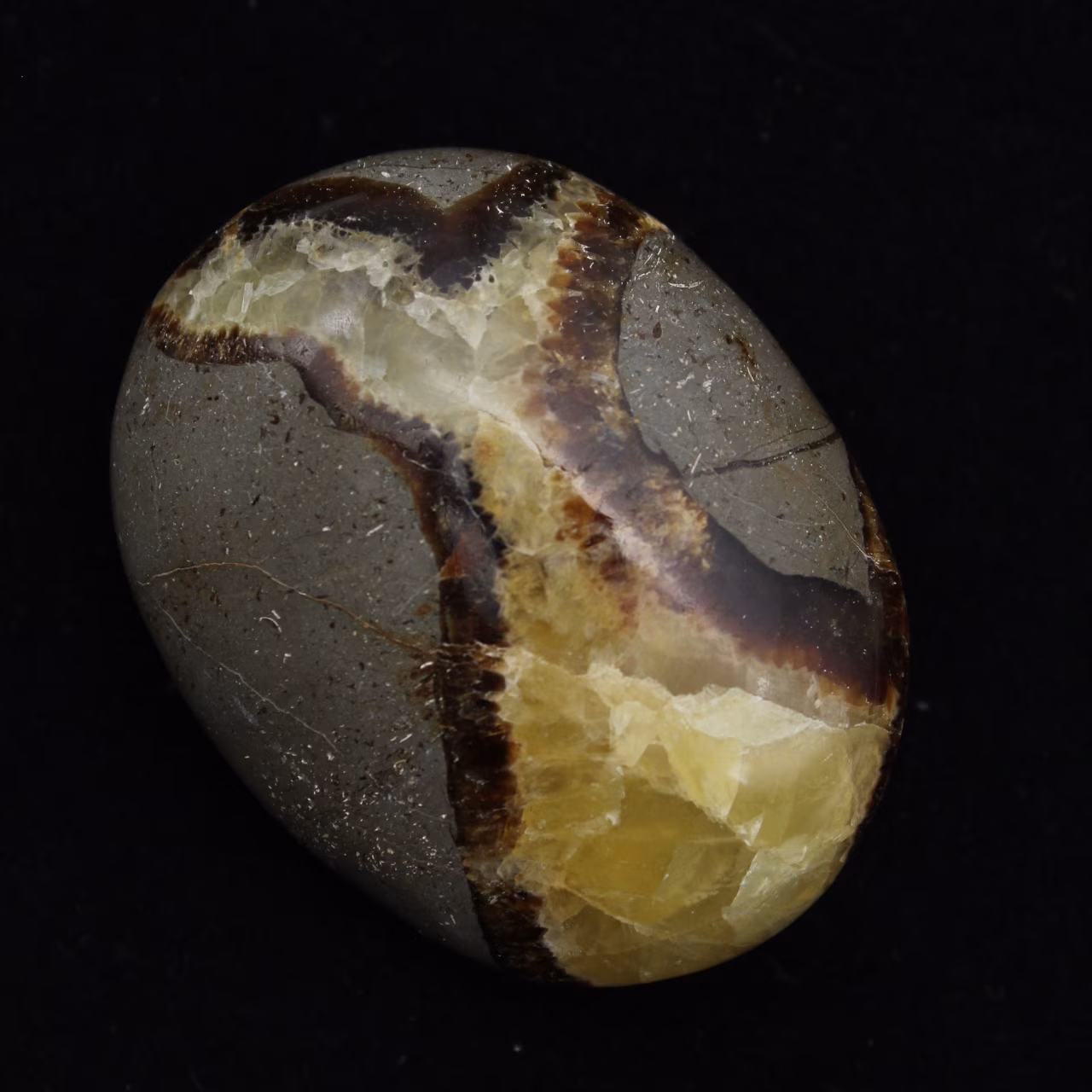 Kiezels van septaria