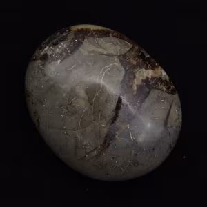 Kiezels van septaria