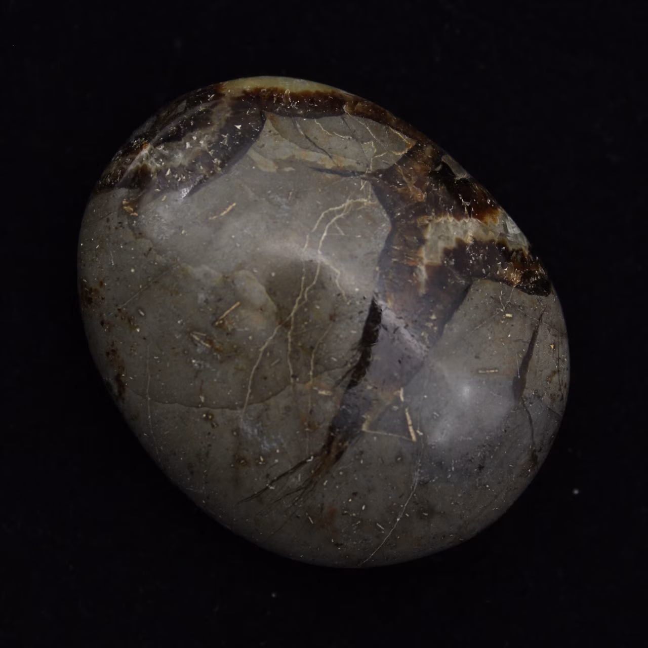 Kiezels van septaria