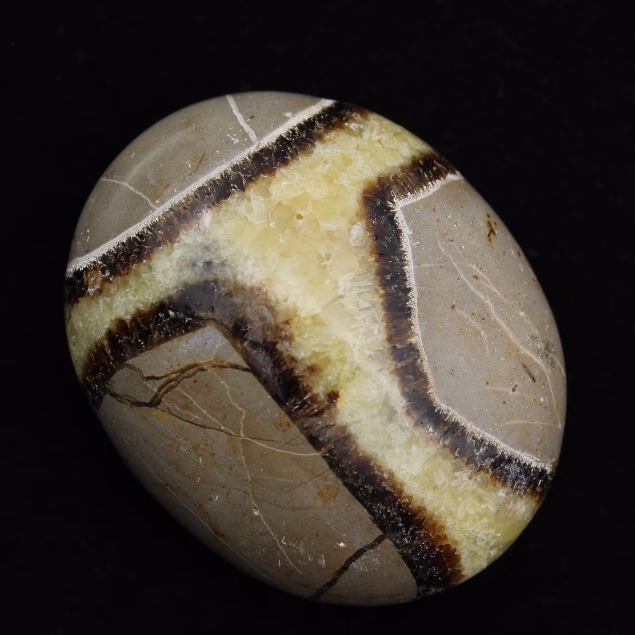 Kiezels van septaria