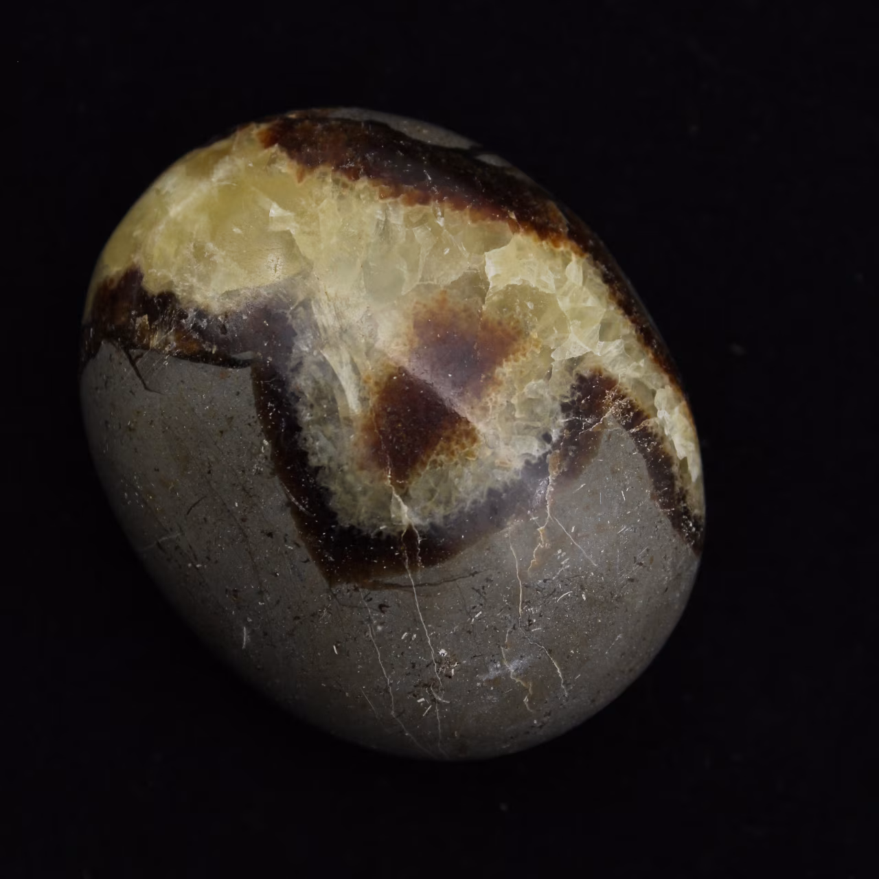 Kiezels van septaria