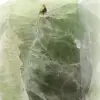 Groene fluoriet heptaëder - 8