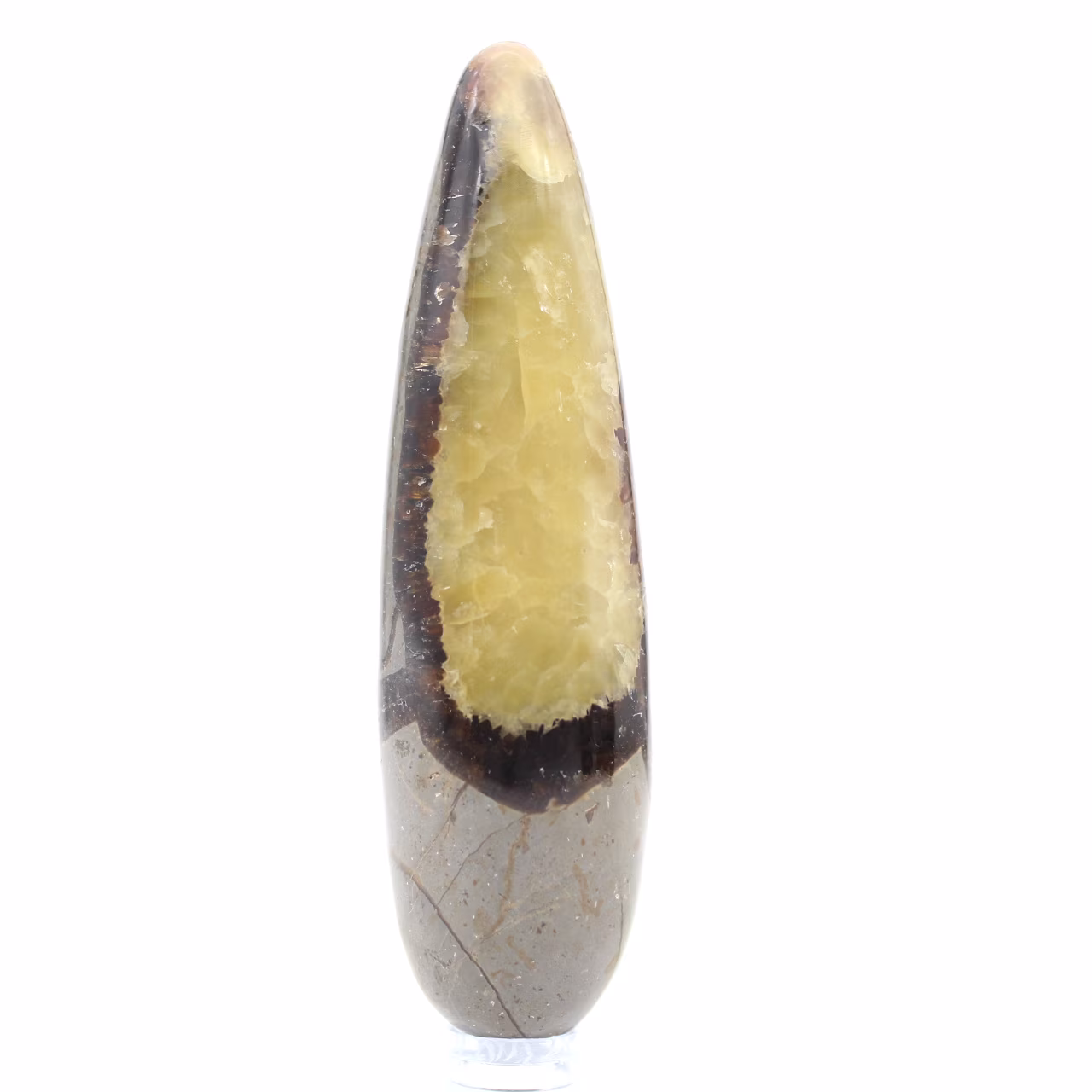 Septaria steen massagestick