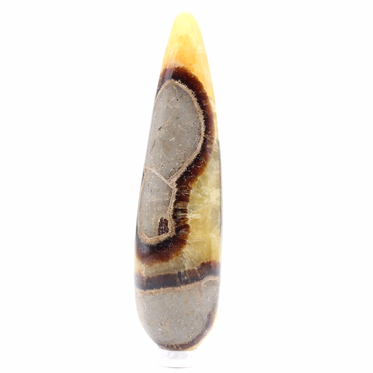 Steen van Septaria stok