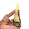Staf van gepolijste Septaria - 1