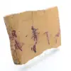Gepolijste mochaiet plaat - 3