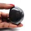 Shungite kiezelsteen - 1