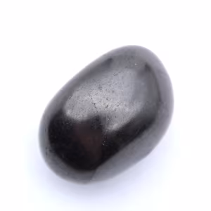 Shungite kiezelsteen