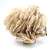 Witte bariet - 2