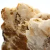 Witte bariet - 8