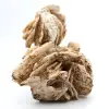 Witte bariet - 3