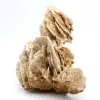 Witte bariet - 4