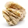 Witte bariet - 2