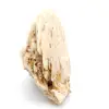 Witte bariet - 3