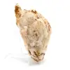 Witte bariet - 2
