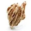 Witte bariet - 3