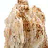 Witte bariet - 5
