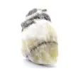 Rauwe zebra-jaspis - 4
