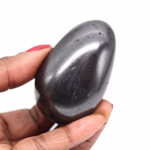 Shungite kiezelsteen